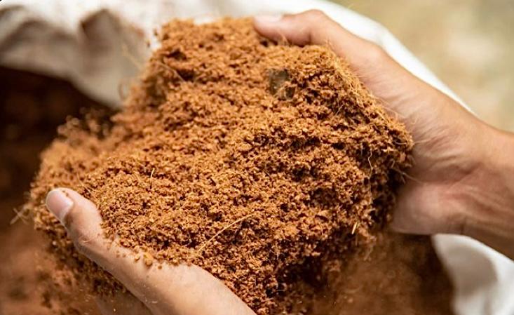 Coco Peat